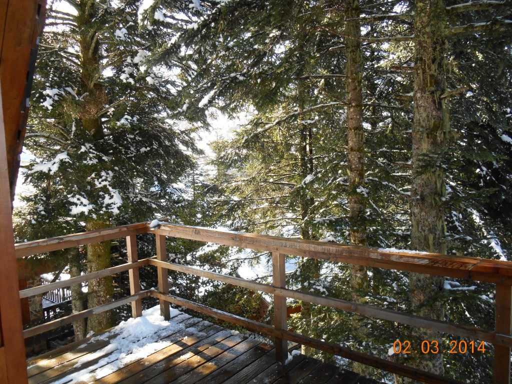 Balcon en été